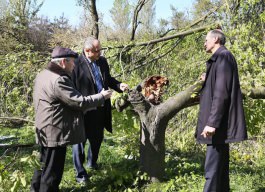 Представители Президентуры оценили ущерб, нанесенный Ботаническому саду, и определили меры по ликвидации последствий