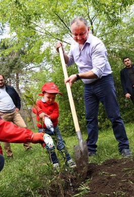 Igor Dodon, Președintele Republicii Moldova a participat la acțiunile de amenajare a teritoriului