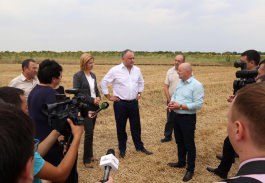 Președintele Igor Dodon a vizitat întreprinderea agricolă „Avito-Lux” din Găgăuzia