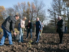 Președintele Nicolae Timofti a participat la acţiunea „Un arbore pentru dăinuirea noastră” în cadrul Zilei Naţionale a Înverzirii Plaiului