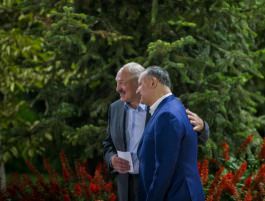 Igor Dodon a participat la întrunirea informală a liderilor ţărilor Comunităţii Statelor Independente