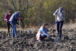 Глава государства вместе с семьей и аппаратом президента приняли участие в общенациональной акции «Древо нашего долголетия»