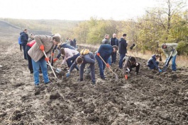 Șeful statului împreună cu familia şi aparatul președintelui au participat la acțiunea națională: ,,Un arbore pentru dăinuirea noastră"