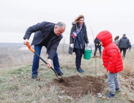 Igor Dodon a dat start acțiunilor consacrate aniversării a 75-a de la eliberarea Moldovei de sub ocupația fascistă