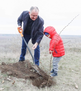 Igor Dodon a dat start acțiunilor consacrate aniversării a 75-a de la eliberarea Moldovei de sub ocupația fascistă