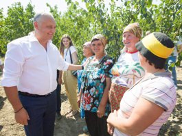 Глава государства посетил аграрное производство в Кагульском районе