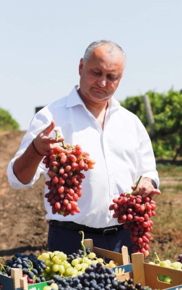 Igor Dodon s-a întîlnit cu producătorii agricoli din raionul Cahul