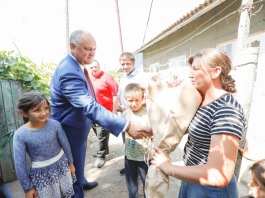 Igor Dodon a vizitat o familie cu mulți copii și un cuplu longeviv din raionul Ștefan Vodă