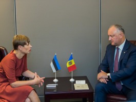 Președintele Republicii Moldova a avut o întrevedere cu Președintele Republicii Estonia