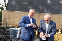 Igor Dodon a participat la Festivalul Vinului „Gagauz şarap yortusu”