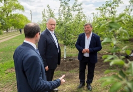 Igor Dodon s-a familiarizat cu activitatea a două întreprinderi agricole din raionul Fălești