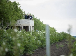 Igor Dodon s-a familiarizat cu activitatea a două întreprinderi agricole din raionul Glodeni