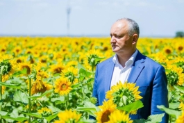 Igor Dodon a vizitat două întreprinderi agricole din satul Valea Perjei, raionul Taraclia