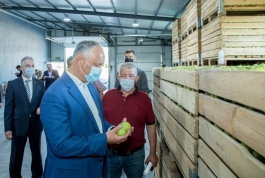 Igor Dodon a vizitat două întreprinderi agricole din raionul Sîngerei