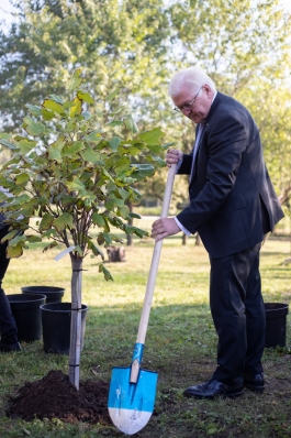 Președinții Maia Sandu și Frank-Walter Steinmeier au continuat tradiția Președinției și au plantat arbori la Grădina Botanică