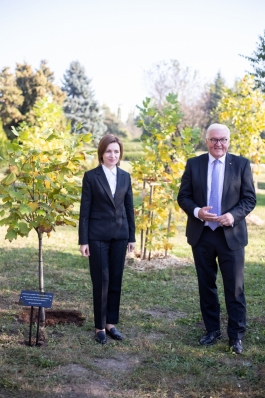 Președinții Maia Sandu și Frank-Walter Steinmeier au continuat tradiția Președinției și au plantat arbori la Grădina Botanică