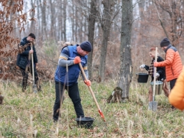 Președinta Maia Sandu a participat la Campania de înverzire a plaiului, alături de un grup de tineri și vârstnici