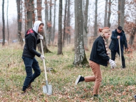 Președinta Maia Sandu a participat la Campania de înverzire a plaiului, alături de un grup de tineri și vârstnici