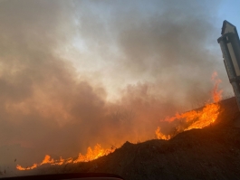 Șefa statului solicită sancțiuni mult mai dure pentru provocarea incendiilor de vegetație