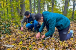 Șefa statului a participat, împreună cu mai mulți copii, tineri și profesori, la o acțiune de înverzire