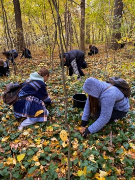 Глава государства вместе с детьми, молодежью и преподавателями приняла участие в акции по озеленению