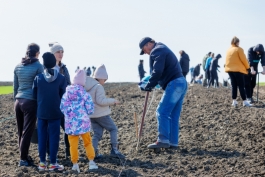 Șefa statului a marcat Ora Pământului plantând copaci