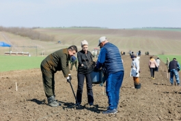 Șefa statului a marcat Ora Pământului plantând copaci