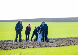 Șefa statului a marcat Ora Pământului plantând copaci