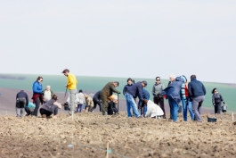 Șefa statului a marcat Ora Pământului plantând copaci