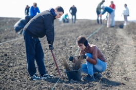 Șefa statului a marcat Ora Pământului plantând copaci