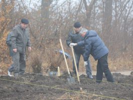 Angajații Administrației prezidențiale au participat la acţiunea „Un arbore pentru dăinuirea noastră” în cadrul Zilei Naţionale de creare a spațiilor verzi