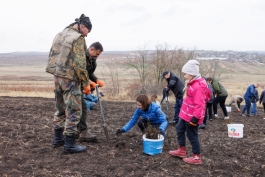 Președinta Maia Sandu a plantat copaci în apropierea comunei Răzeni, Ialoveni