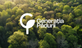  В Международный день окружающей среды глава государства отметила необходимость лесонасаждения и наградила ряд сотрудников Агентства „Moldsilva” и предприятий лесного хозяйства медалью „Meritul Civic”