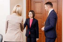 Глава государства Майя Санду обсудила с группой евродепутатов продвижение Молдовы по пути вступления в Европейский Союз