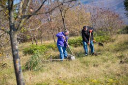 Președintele Timofti a plantat copaci, de Ziua Națională de Înverzire a Plaiului